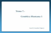 Tema 7.- Genética Humana 1 · 2020-01-15 · La Genética Humana es la disciplina científica dedicada al estudio de la Herencia en la especie humana. Se inicia en 1902 con los estudios