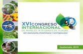 Plagas y enfermedades en papaya.agromip.com.gt/ponencias /2019/Salon 3/Miercoles 3/3.10... · 2019-05-01 · Producción de papaya para exportación. • Ciclo comercial del cultivo