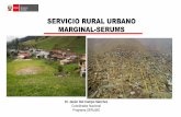 SERVICIO RURAL URBANO MARGINAL-SERUMS · 2020-01-16 · El Servicio Rural y Urbano Marginal de Salud –SERUMS fue creado en el año 1981, teniendo como base el Servicio Civil de