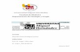 CUANTIFICACIÓN DE LOS FACTORES DE CRECIMIENTO DEL …dspace.umh.es/bitstream/11000/4902/1/TD Rodríguez Zunino... · 2018-11-20 · interacción con otras plaquetas y células de