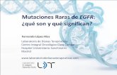 Mutaciones Raras de EGFR - Servicio de Oncologia Medicaoncologiapuertadehierro.com/plantilla3/Archivos/Mutaciones.pdf · Método de Sanger 25 Conocidas y nuevas Sí Pirosecuenciación