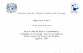 Introduccio´n a la Teor´ıa Cuantica de Campos Alejandro Ayalaecfm.uas.edu.mx/eff2014/docs/ayala.pdf · 2014-08-09 · 1 Introduccio´n a la Teor´ıa Cuantica de Campos Alejandro