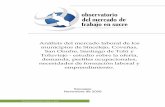 Análisis del mercado laboral de los municipios de Sincelejo, … · 2011-08-25 · Demanda laboral ... DEMANDA DEL MERCADO LABORAL DEL MUNICIPIO..... 81 15. CONCLUSIONES Y ... a