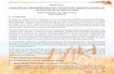 PRINCIPALES ENFERMEDADES DEL TRIGO EN EL BORDE …biblioteca.inia.cl/medios/biblioteca/boletines/NR39302.pdf · 2017-06-22 · como tratamientos foliares y de semilla (Cuadro 1 y