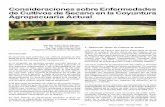 Consideraciones sobre Enfermedades de Cultivos de Secano en …produccion-animal.com.ar/produccion_y_manejo_pasturas/... · 2009-05-02 · 2.1 - Enfermedades que se presentan temprano