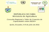REPÚBLICA DE CUBA Ministerio de Agricultura...Actualización y perfeccionamiento de la ordenación forestal y la dinámica forestal (incorporación de imágenes satelitales), para