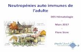 Neutropénies auto immunes de l’adulteaihemato.cluster013.ovh.net/AIH/documents/Cours DES/DES 2017-03-10/F... · N01-AG-6-210 6. The Atheroscler osis Risk in Communiti es Study