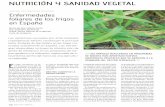 Enfermedades foliares de los trigos en Españaborauhermanos.com/archivos/enfermedades_foliares.pdf · 2014-10-07 · duro, trigo harinero y cebada y es moderadamente patogénica para