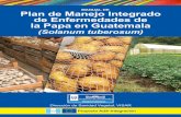 Plan de Manejo Integrado de Enfermedades de la …labmedios.com/wp-content/uploads/2017/05/Manual-de-Papa.pdfPLAN DE MANEJO INTEGRADO DE ENFERMEDADES DE LA PAPA EN GUATEMALA (Solanum