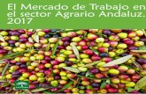 El Mercado de Trabajo en el sector Agrario Andaluz. …...del mismo, para ofrecernos una perspectiva clara y precisa de la situación del mercado laboral en el sector agrario en el