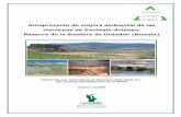 Anteproyecto de mejora ambiental de las marismas de Gautegiz-Arteaga, Reserva de … · 2016-06-09 · Anteproyecto de mejora ambiental de las marismas de Gautegiz-Arteaga Consultora