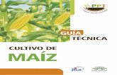 Javier Ortigoza Guerreño · 2019-03-13 · impacto en la economía del pequeño productor, como son la caña de azúcar, yerba mate, mandioca, poroto, maíz, cebolla y cítricos,