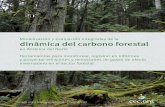 Modelización y evaluación integradas de la dinámica del carbono … · Modelización y evaluación integradas de la dinámica del carbono forestal en América del Norte 5 Los bosques