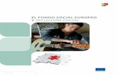 EL FONDO SOCIAL EUROPEO Y INCLUSIÓN SOCIALec.europa.eu/employment_social/esf/docs/sf_social_inclusion_es.pdf · Fiel a su misión de procurar la disminución de diferencias en lo