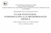 UNIVERSIDAD DE BUENOS AIRES FACULTAD DE MEDICINA ...old.fmed.uba.ar/depto/microbiologia/catedra2/Teorico_N_1.pdf · huevos embrionados y cultivos celulares . parÁsitos coloraciones