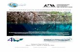 Responsabilidad para la sustentabilidad de la Zona Costeracbs1.xoc.uam.mx/e_bios/docs/2016/recorecos.pdfactividades de investigación que se desarrollan en la zona costera del país