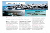 56 savia54 notebook - Amadeus · Santa Cruz está el centro neurálgico de la actividad turística y, aún así, en sus playas se puede nadar con lobos marinos, avistar pingüinos,