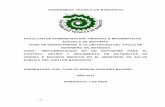 UNIVERSIDAD TECNICA DE BABAHOYO - UTBdspace.utb.edu.ec/bitstream/49000/618/1/T-UTB-FAFI-SIST... · 2016-09-15 · facultad de administracion finanzas e informaticas escuela de sistemas