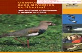 Observación de aves silvestres en libertad · 2018-08-14 · Aves Argentinas / Asociación Ornitológica del Plata es una organización no gubernamental independiente, sin fines
