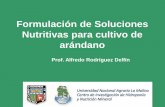 Formulación de Soluciones Nutritivas para cultivo de arándano · 2019-07-01 · Tener en cuenta el grado de pureza de los fertilizantes Usar fertilizantes solubles Solubilidad: