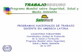 TRABAJOSEGURO · MEXICO: SISTEMA NACIONAL DE SST • Sistema Nacional de SST C.187/C.155 • Sistema Nacional de registro y notificación de accidentes y enfermedades del trabajo