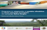 Resumen ejecutivo - PAOTcentro.paot.org.mx/documentos/conanp/re_selva_zoque.pdfenfoca, no sólo en las áreas naturales protegidas seleccionadas, sino en los paisajes donde están
