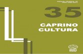 35 Capa caprinos - Biblioteca AGPTEA...5 A partir da década de 80, e até hoje, a produção de leite de cabra foi organizada conforme os registros de Cordeiro e Cordeiro (2009),