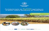 Fortalecimiento de PyMES el sector cañero azucarero de Costa Rica · 2019-05-15 · PyMEs agrícolas del sector cañero azucarero de Costa Rica” (AFT 3/2017-081) del Programa AL-Invest
