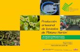 Producción artesanal de lixiviados de 'Plátano Hartón' ARTESANAL DE...Introducción La presente publicación es producto de un proyecto de investigación, en el marco del Convenio