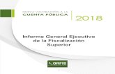 Informe General Ejecutivo de la Fiscalización Superior · 2020-02-01 · 6 Los Informes Individuales y el Informe General Ejecutivo, tendrán el carácter de públicos, y se mantendrán