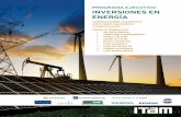 PROGRAMA EJECUTIVO INVERSIONES EN ENERGÍAgonzo.itam.mx/Temario/Ejecutivos/Folleto_IE.pdf · Clasificación de crudos, reservas y yacimientos y sus implicaciones. Tipos de aceite