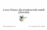 Curs bàsic de preparats amb plantes · Infusió de romaní o romer (Rosmarinus officinalis) Per a millorar els processos digestius: •En 1 litre d'aigua recien bullida afegir 20