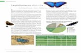 Lepidópteros diurnos · 318 especies, las familias con mayor número de especies en-contradas son: Nymphalidae, con 154 especies distribuidas en 71 géneros que representan el 35%