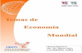 CIEM: Centro de Investigaciones de la Economia Mundial - Nueva … No. 19 Marzo 2011.pdf · 2017-10-17 · Centro de Investigaciones de la Economía Mundial . 3 Crisis económica