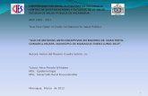 UNIVERSIDAD NACIONAL AUTÓNOMA DE NICARAGUA CENTRO DE INVESTIGACIONES Y ESTUDIOS DE …cies.edu.ni/cedoc/digitaliza/t749/presentaciont749.pdf · 2017-06-15 · universidad nacional