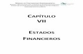 VII Estados Financieros · MANUAL DE CONTABILIDAD GUBERNAMENTAL NORMAS Y METODOLOGÍA PARA LA EMISIÓN DE INFORMACIÓN FINANCIERA Y ESTRUCTURA DE LOS ESTADOS FINANCIEROS BÁSICOS