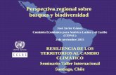 Perspectiva regional sobre bosques y biodiversidadconferencias.cepal.org/seminario_resiliencia/Martes... · de los bosques y para la foprmulación de políticas sectoriales. Los países
