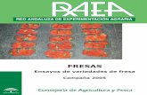 R.A.E.A. - Junta de Andalucía · una Tabla resumen final que aglutine las tendencias y resultados en ambas campañas. Finalmente, en esta publicación hemos podido incluir importantes