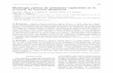 Morfología polínica de Urticáceas registradas en la ...lillo.org.ar/revis/lilloa/2014-51-2/05.pdf · 2014. “Morfología polínica de Urticáceas registradas en la provincia de