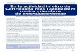sociedadmedicinacritica.comsociedadmedicinacritica.com/images/files/ESTUDIO TAZOX (2).pdf · Los resultados de su susceptibilidad ... enterobacterias productoras se informó desde