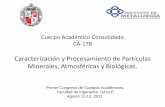 Cuerpo Académico Consolidado CA-178ingenieria.uaslp.mx/web2010/Acad%E9micos/Cuerpos...intercrecimientos y de las propiedades de la superficie de minerales, materiales sintéticos,