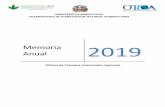 MINISTERIO DE AGRICULTURA VICEMINISTERIO DE …otca.gob.do/wp-content/uploads/2019/12/MEMORIA-ANUAL... · 2019-12-17 · I. Sobre la Oficina de Tratados Comerciales Agrícolas (OTCA)