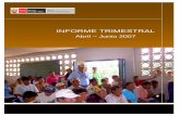 Informe Trimestral II 2007 Abril Junio Versi n publicable. Social/Informes... · Funciones y Estructura de la DGGS ... Gestión Social, con competencia en el sector minero, adquiriendo