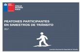PEATONES PARTICIPANTES EN SINIESTROS DE TRÁNSITO · La participación de peatones en siniestros de tránsito presentó un aumento del 1,7% con respecto al año anterior, mientras