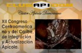 Clúster Apícola Dominicano - CEDAFcedaf.org.do/eventos/FEDECCAPI2015/memoria/ponencias/... · 2016-08-01 · El plan de acción elaborado para apoyar el desarrollo de la apicultura