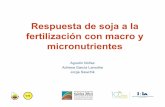 Respuesta de soja a la fertilización con macro y ... · Disminución calidad de los suelos Reportes de cultivos con deficiencias, principalmente macronutrientes Reportes de respuesta