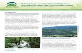 El Yunque y sus servicios ecológicos...El Bosque Nacional El Yunque, ubicado en el este de Puerto Rico, provee una variedad de servicios ecológicos— incluyendo aire limpio, agua