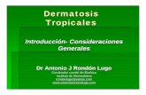 Dermatosis Tropicales - Antonio Rondon Lugo · LCD LV Mortalidad 59,000 casos para LV Impacto económico Productividad Costo de atención de salud y tratamiento. . DALYsscorein 2001