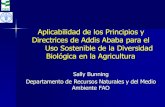 Aplicabilidad de los Principios y Directrices de Addis ... · importancia para la alimentación y la agricultura: la variedad y variabilidad de animales, plantas y microorganismos