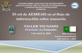 AGENCIA ESTATAL PARA EL MANEJO DE EMERGENCIAS Y ADMINISTRACIÓN DE …redsismica.uprm.edu/Spanish/tsunami/mapa/info/guaynabo/... · 2016-08-29 · Misión La Misión de la Agencia